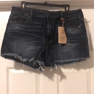 American Eagle - Vintage High Rise Festival Stretch - Jean Shorts